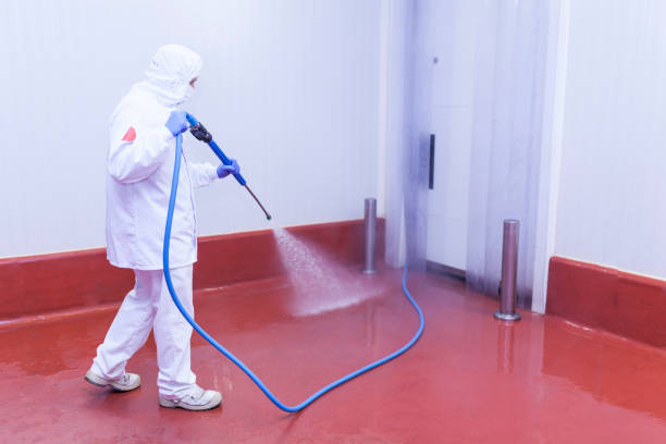 Best Winterizing Services  in Singac, NJ